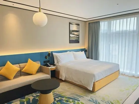 Deluxe Oda, 1 En Büyük (King) Boy Yatak