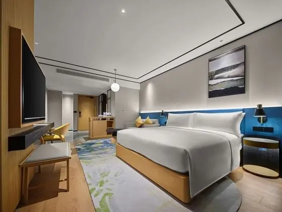 Deluxe Oda, 1 En Büyük (King) Boy Yatak