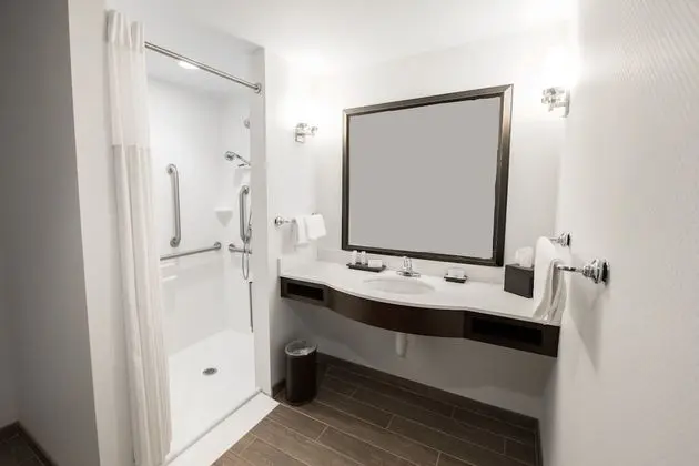 Oda, 1 Yatak Odası, Engellilere Uygun (Roll In Shower)