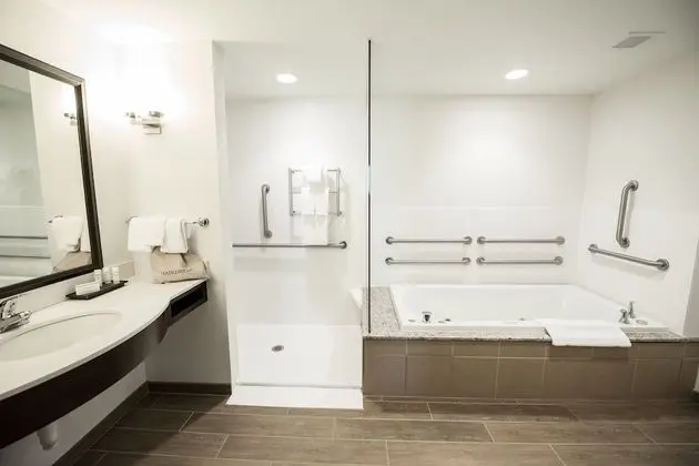 Oda, 1 Yatak Odası, Engellilere Uygun (Roll In Shower)