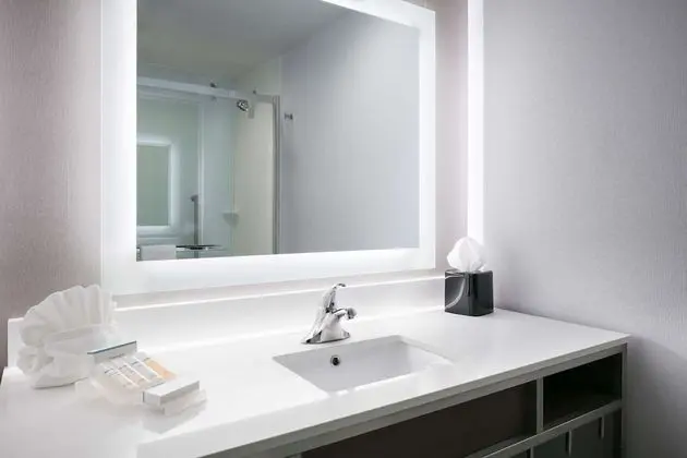 Oda, 1 En Büyük (King) Boy Yatak, Engellilere Uygun (Roll-in Shower)