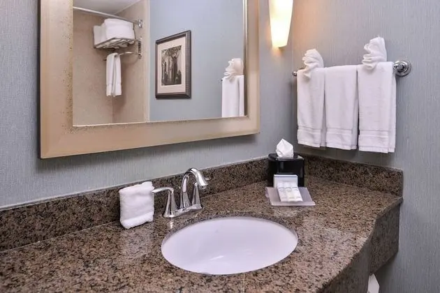 Junior Suite, 1 Queen, Hearing Accessible