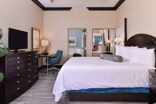 Presidential Suite, 1 King