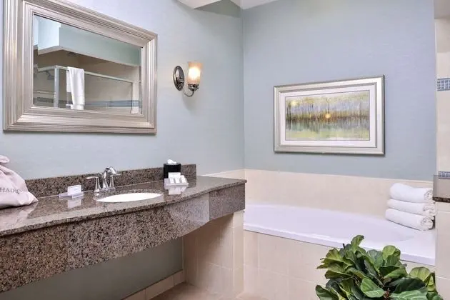 Presidential Suite, 1 King