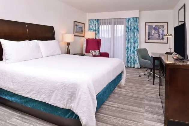 Room, 1 King, Accessible w/ Roll In Shower