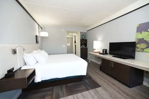 Oda, 1 En Büyük (King) Boy Yatak, Engellilere Uygun, Küvet