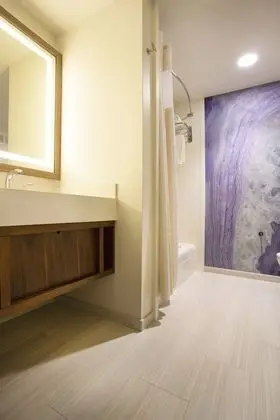 Oda, 1 En Büyük (King) Boy Yatak (Bathtub)