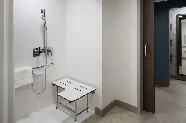 Deluxe Oda, 1 En Büyük (King) Boy Yatak, Engellilere Uygun (Roll-In Shower)