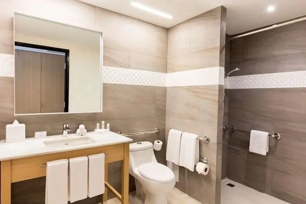 Standard Oda, 1 En Büyük (King) Boy Yatak, Engellilere Uygun, Sigara İçilmez (Roll-in Shower)