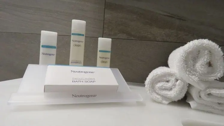 Standard Oda, 1 En Büyük (King) Boy Yatak, Engellilere Uygun, Sigara İçilmez (Roll-in Shower)