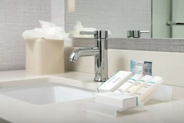 Oda, 1 En Büyük (King) Boy Yatak, Engellilere Uygun (Roll-In Shower, Mobility & Hearing)