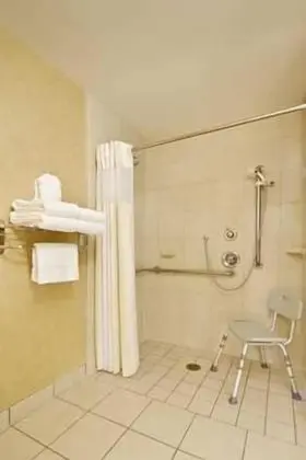 Oda, 1 En Büyük (King) Boy Yatak, Engellilere Uygun, Balkon (Roll-In Shower)
