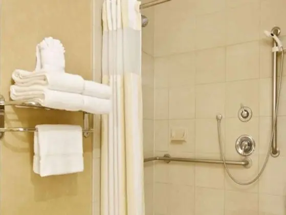 Oda, 1 En Büyük (King) Boy Yatak, Engellilere Uygun, Balkon (Roll-In Shower)