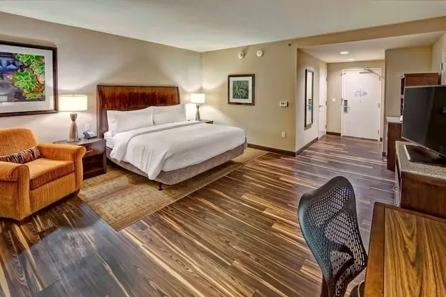 ADA Accessible, Room, 1 King Bed, Accessible, Bathtub (Mobility & Hearing)