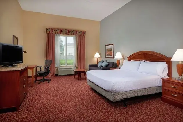1 King Accessible Room with Bathtub