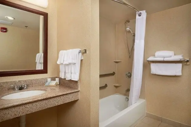 1 King Accessible Room with Bathtub