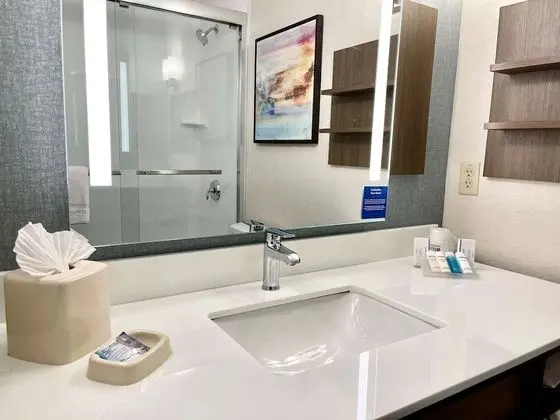 Oda, 1 En Büyük (King) Boy Yatak (With Drinks-Snacks)