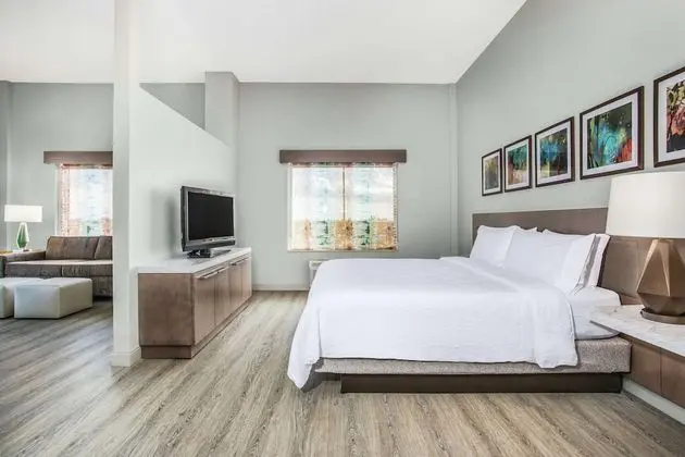 Junior Süit, 1 En Büyük (King) Boy Yatak, Balkon (Premium)