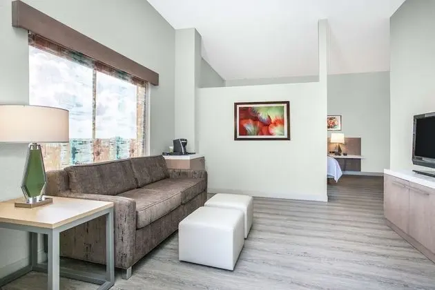Junior Süit, 1 En Büyük (King) Boy Yatak, Balkon (Premium)