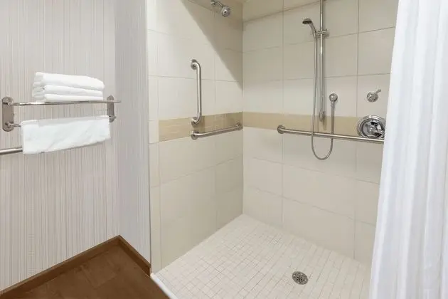 Deluxe Süit, 1 En Büyük (King) Boy Yatak, Engellilere Uygun (Roll-In Shower)
