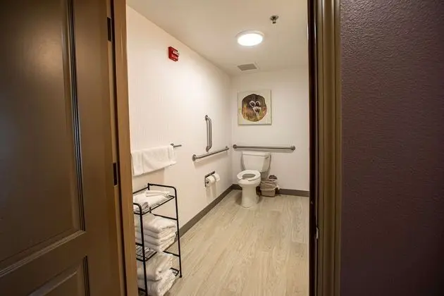 Oda, 2 Büyük (Queen) Boy Yatak, Engellilere Uygun (Mobility & Hearing, Roll-In Shower)