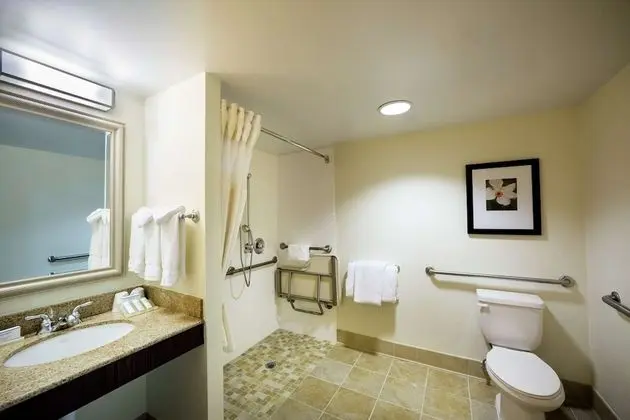 Stüdyo Süit, 1 En Büyük (King) Boy Yatak, Engellilere Uygun (Shower)