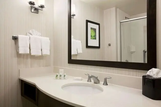 Suite, 1 King Bed, Jetted Tub (Manhattan Suite)