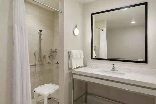 Oda, Engellilere Uygun, Sigara İçilmez (Roll-in Shower)
