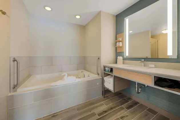1 King Bed 1 Bedroom Suite with Sofabed