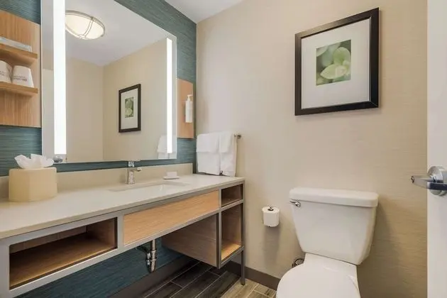 1 King Bed 1 Bedroom Suite with Sofabed