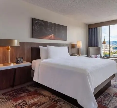 One Queen Bed, Roll In Shower