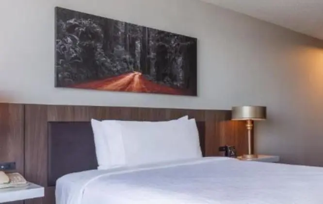 One Queen Bed, Roll In Shower