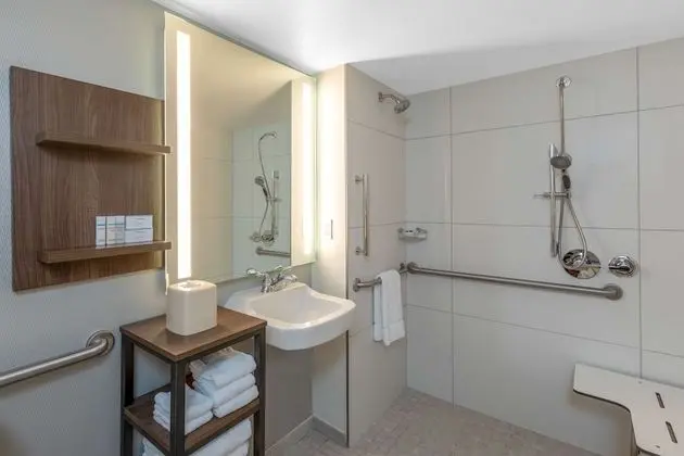 One Queen Bed, Roll In Shower