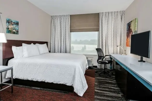 Süit, 1 Yatak Odası, Sigara İçilmez (1 King Bed)