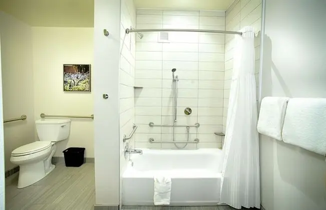Oda, 2 Büyük (Queen) Boy Yatak, Engellilere Uygun, Sigara İçilmez (w/ bathtub)