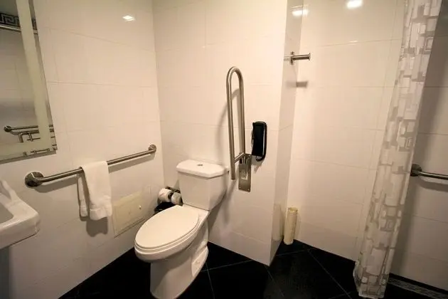 Oda, 1 En Büyük (King) Boy Yatak, Engellilere Uygun, Sigara İçilmez (w/ roll-in shower)
