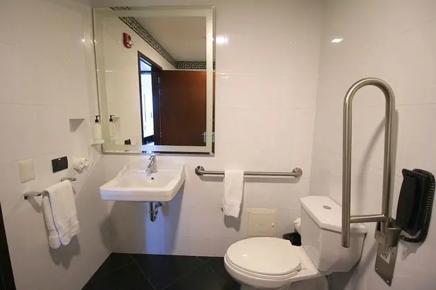 Oda, 1 En Büyük (King) Boy Yatak, Engellilere Uygun, Sigara İçilmez (w/ roll-in shower)