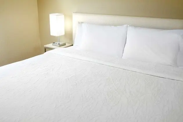Süit, 1 Yatak Odası (1 king bed)