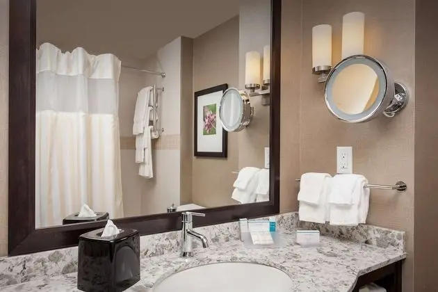 Oda, 1 En Büyük (King) Boy Yatak (Luxury Bathroom)