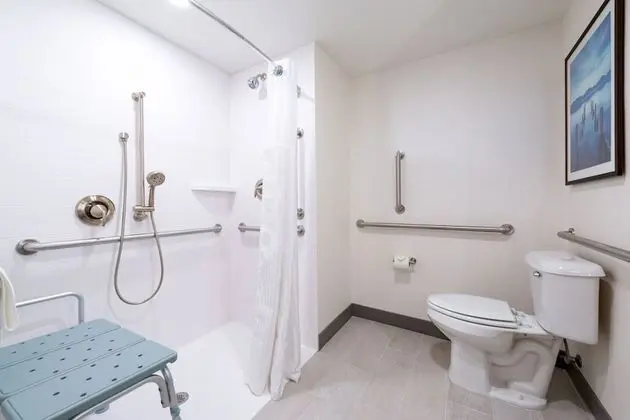 Standard Oda, 1 En Büyük (King) Boy Yatak, Engellilere Uygun (Roll-In Shower)