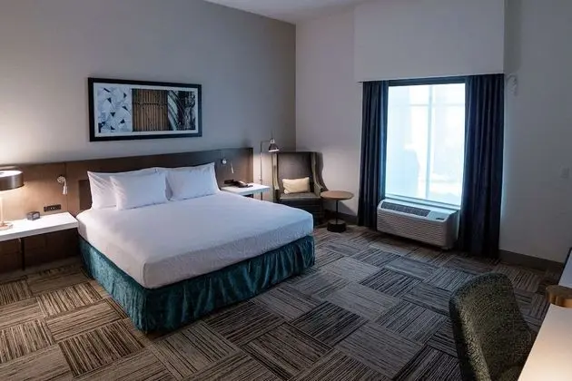 Deluxe Oda, 1 En Büyük (King) Boy Yatak, Engellilere Uygun (Roll-In Shower, Mobility & Hearing)