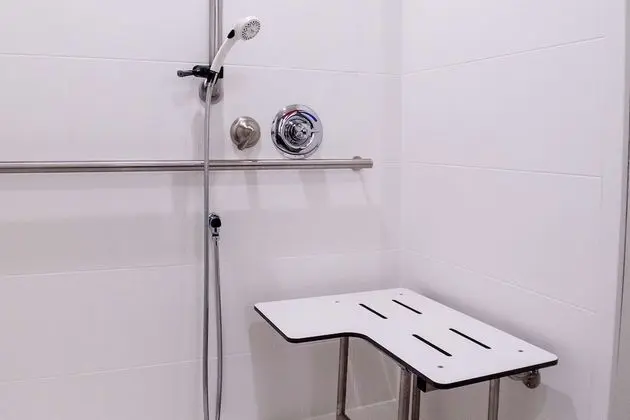 Deluxe Oda, 1 En Büyük (King) Boy Yatak, Engellilere Uygun (Roll-In Shower, Mobility & Hearing)