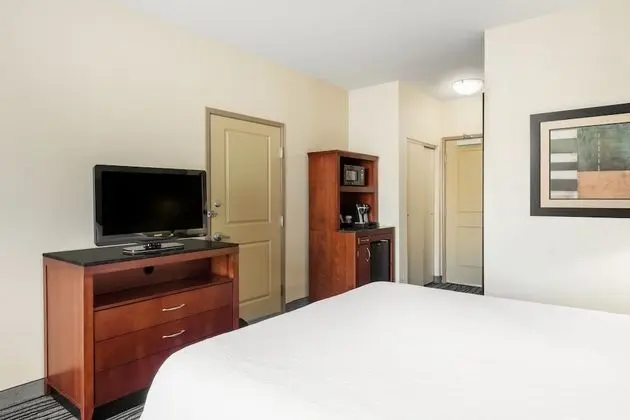 Room, King, Accessible, Bathtub