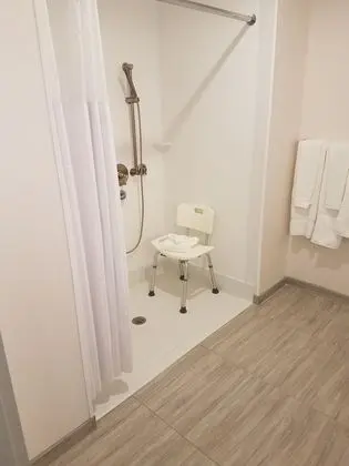 Oda, 1 Yatak Odası, Engellilere Uygun, Sigara İçilmez (mob/hearing acc w/ roll-in shower)