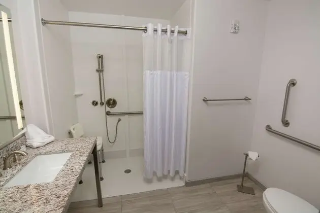 Oda, 1 Yatak Odası, Engellilere Uygun, Sigara İçilmez (mob/hearing acc w/ roll-in shower)