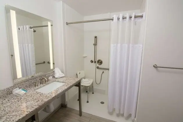 Oda, 1 Yatak Odası, Engellilere Uygun, Sigara İçilmez (mob/hearing acc w/ roll-in shower)
