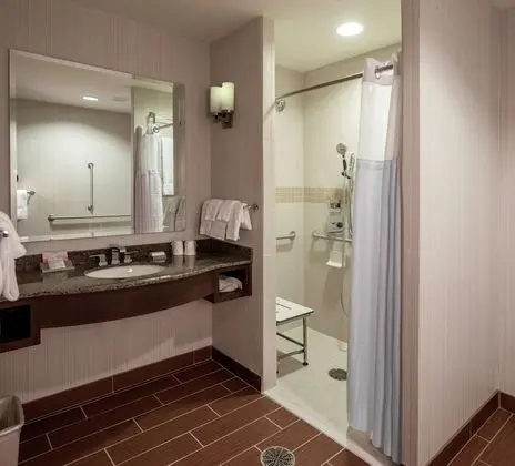 Oda, 1 En Büyük (King) Boy Yatak, Engellilere Uygun, Sigara İçilmez (Roll-in Shower)