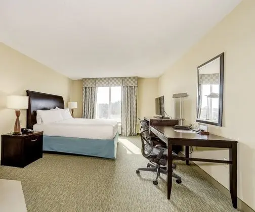 King Room, Standard Oda