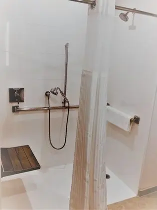 Oda, 1 En Büyük (King) Boy Yatak, Engellilere Uygun (Roll-In Shower, Mobility & Hearing)