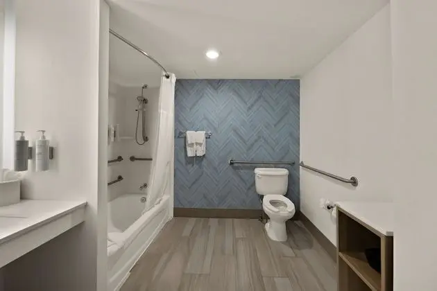 Standard Oda, 1 En Büyük (King) Boy Yatak, Engellilere Uygun (Hearing Accessible with Bathtub)